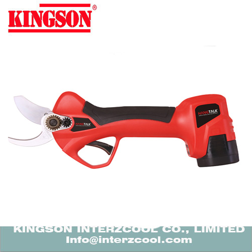 ELECTRIC pruner